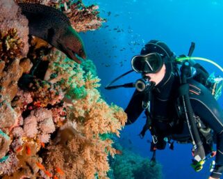 Indonesia’s Top Diving Spots