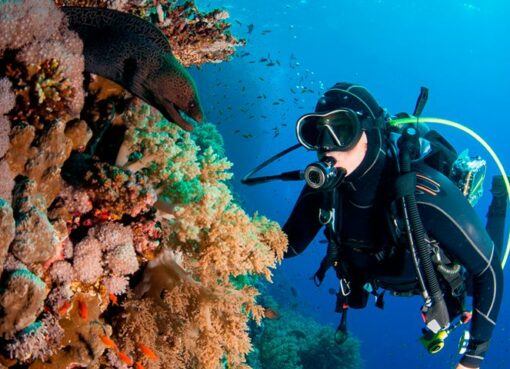 Indonesia’s Top Diving Spots