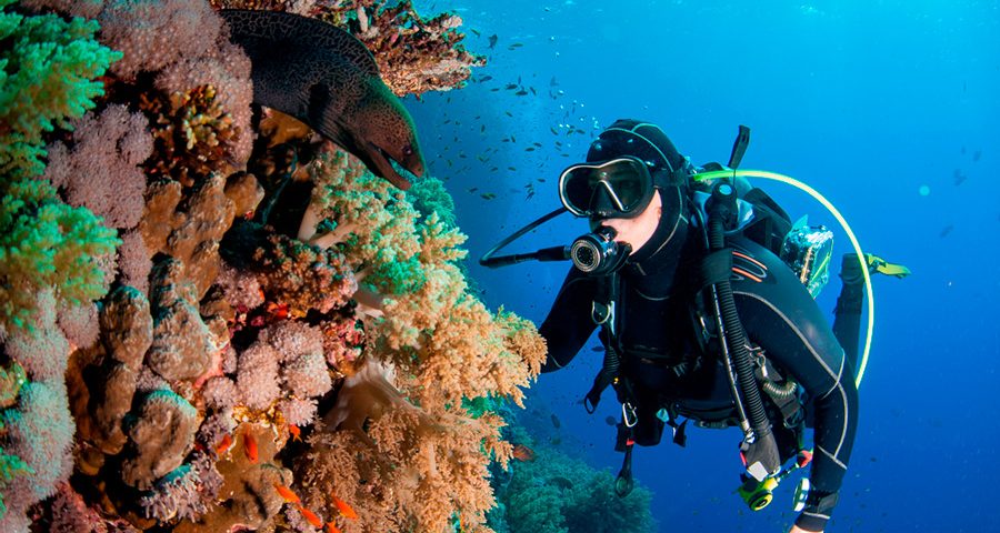 Indonesia’s Top Diving Spots